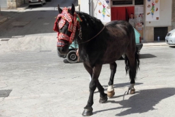 Calatafimi - Segesta202.JPG